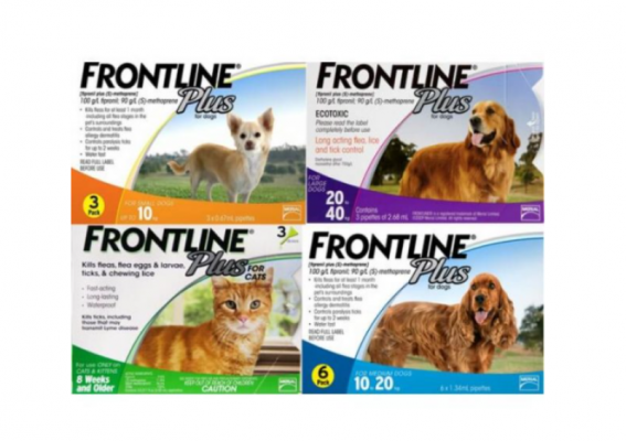 Nhỏ gáy trị ve rận Frontline Plus