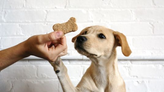Những loại bánh thưởng có tại Happy Paws Pet Shop