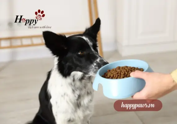 Có nên cho chó mèo ăn Royal Canin? 