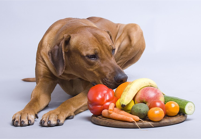 Lợi ích của việc cho chó ăn rau