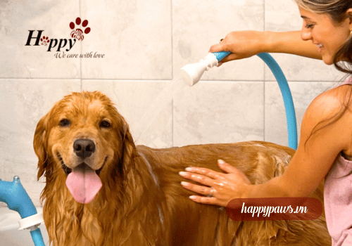 Vòi tắm cho chó gắn tường Rinseroo Dog Shower