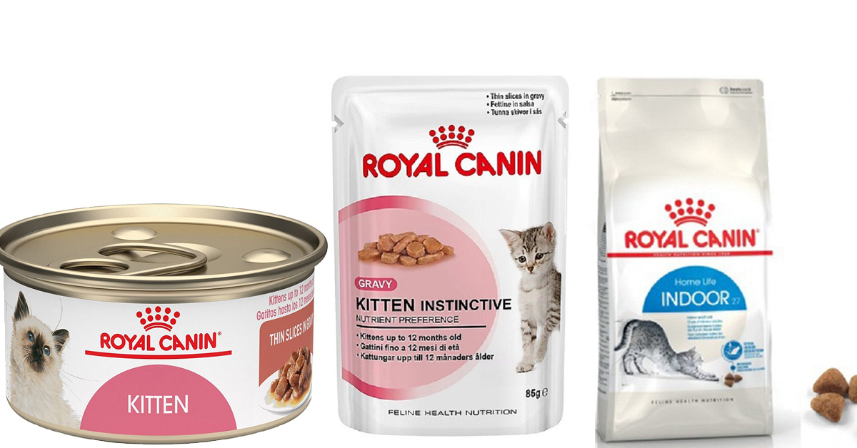 [Review] thức ăn Royal Canin cho mèo có tốt không?[Review] thức ăn Royal Canin cho mèo có tốt không?