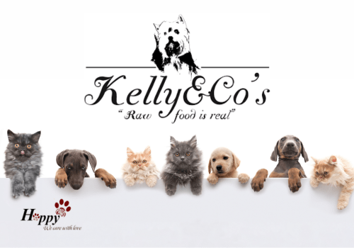 Vì sao nên chọn Kelly & Co's ?
