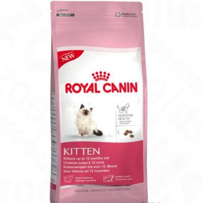 Thức ăn cho mèo Royal Canin