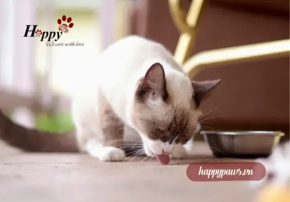 Những dưỡng chất đặc biệt chỉ có trong thức ăn giúp lông mượt