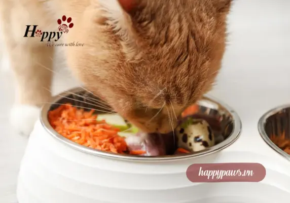 Thức ăn cho chó mèo lông mượt là gì?