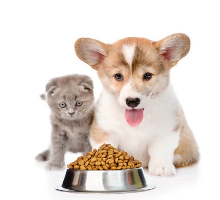 Đại lí thức ăn cho chó mèo tại TP HCM