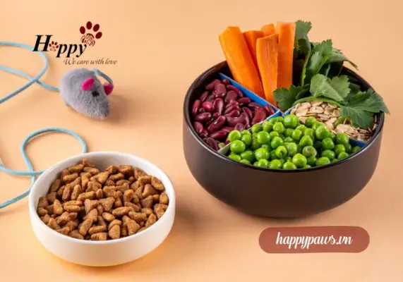 Thức ăn không ngũ cốc cho chó mèo là gì? 