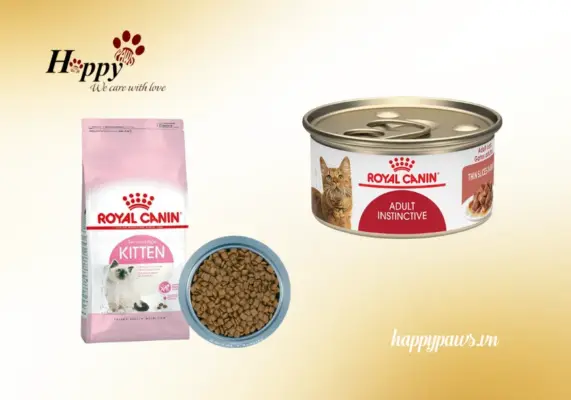 Thức ăn royal canin dành cho mèo có những loại nào?